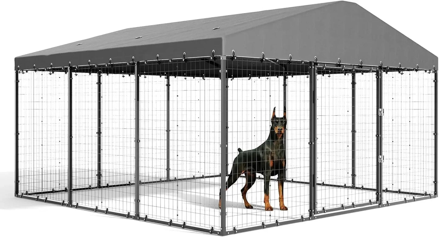 Large Outdoor Kennel with Fully Covered Roof