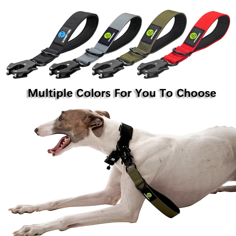Short Dog Leash