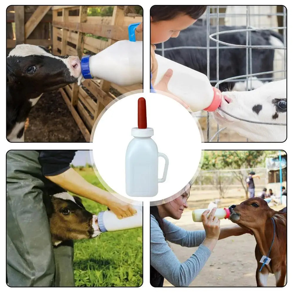 Calf Feeding Bottle Calf Bottle