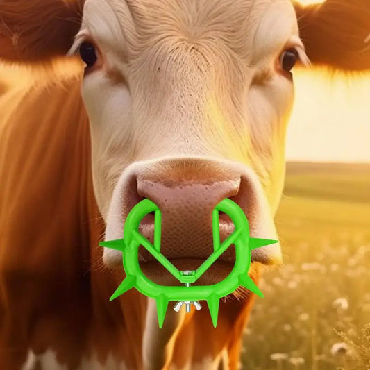 Cow Nose Ring