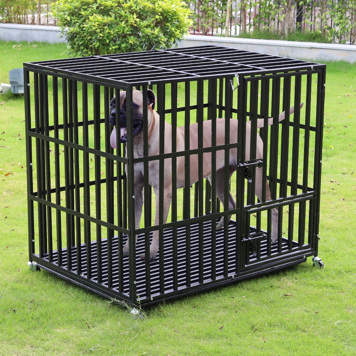 Bingopaw 37” 42” 46” Heavy Duty Dog Cage