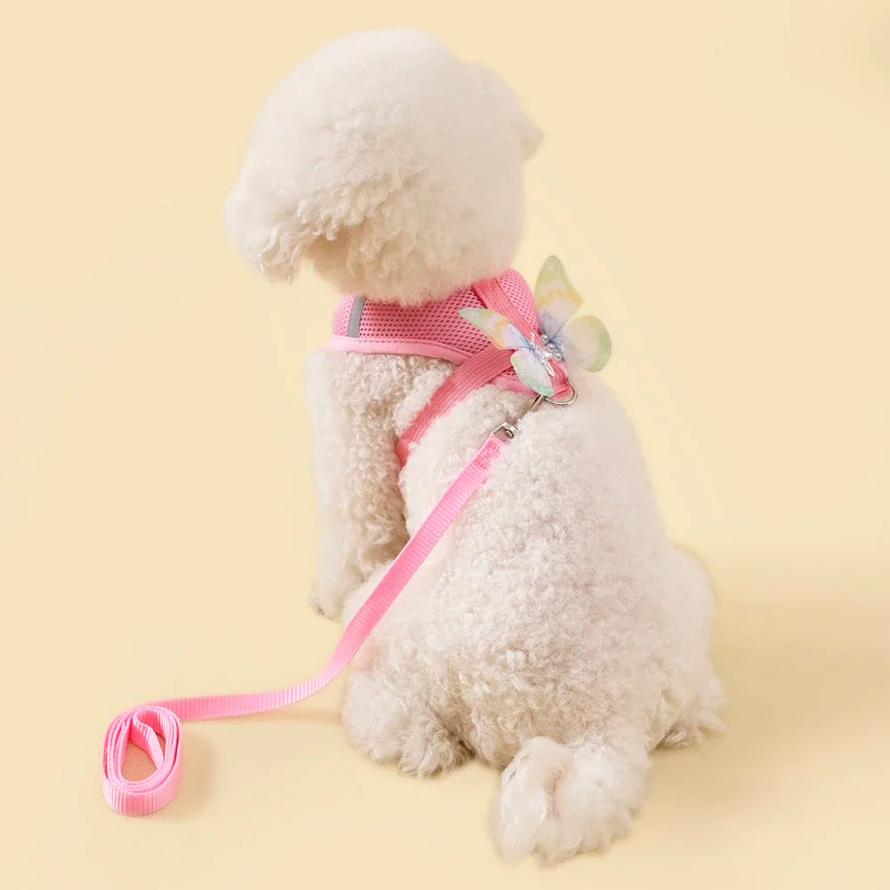 Butterfly Cute Breathable Dog Harness Set