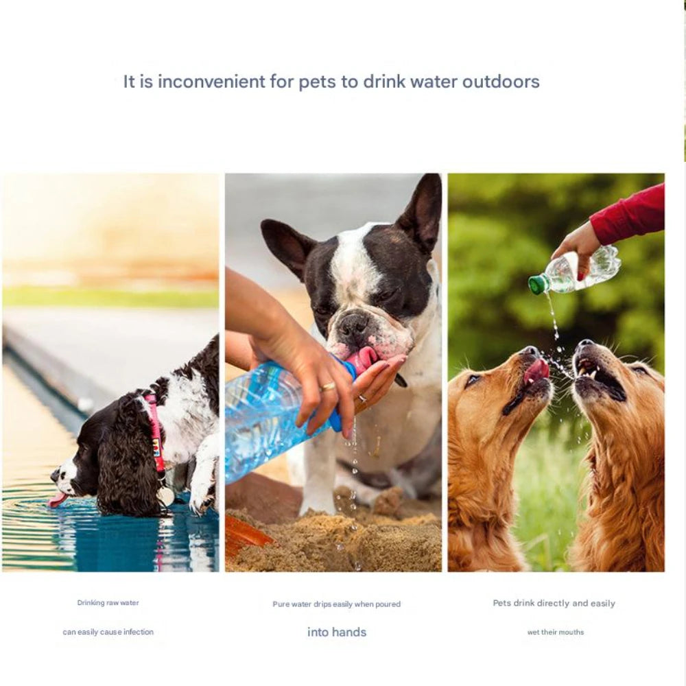 Collapsible Dog Water Cup