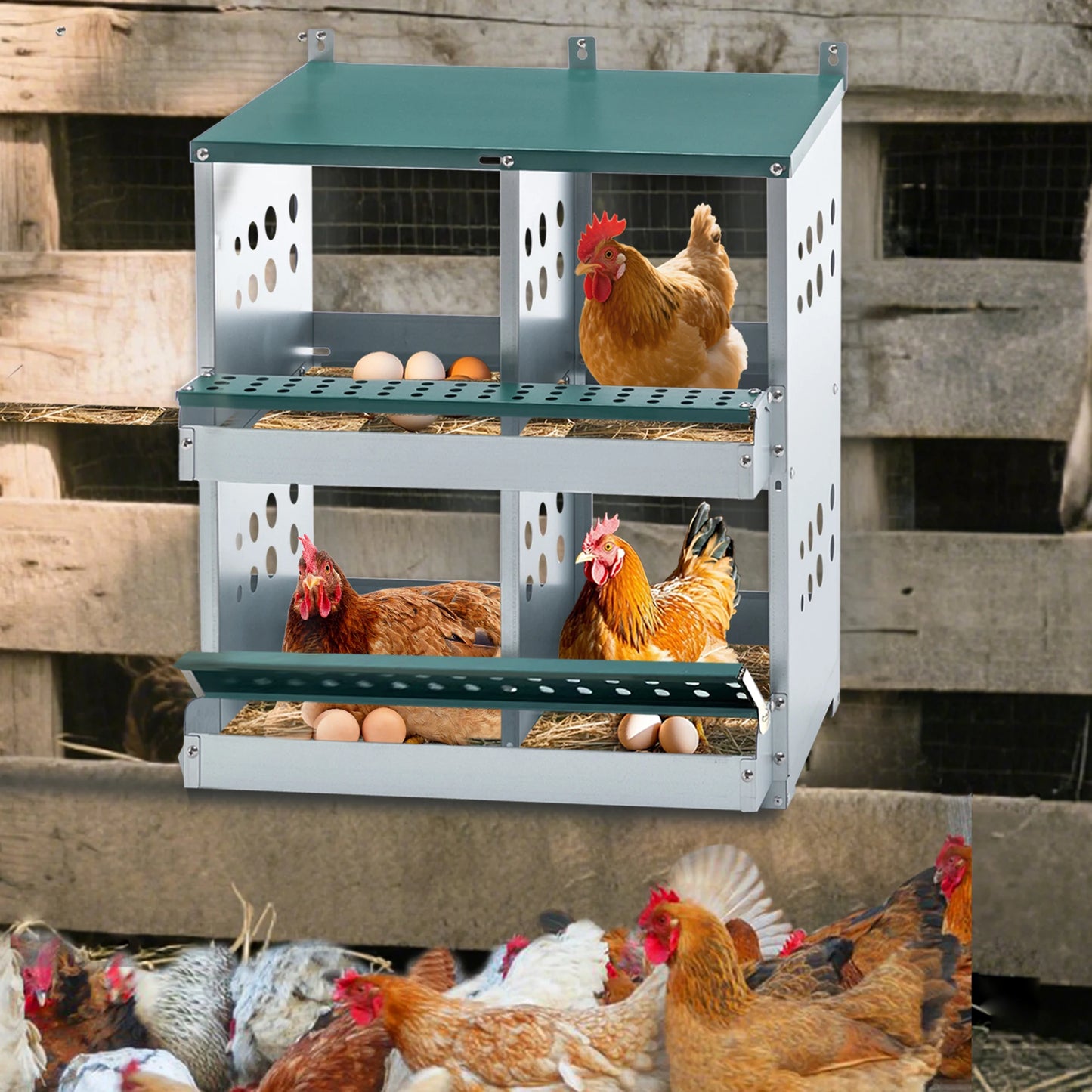 4 Compartment Chicken Nesting Boxes