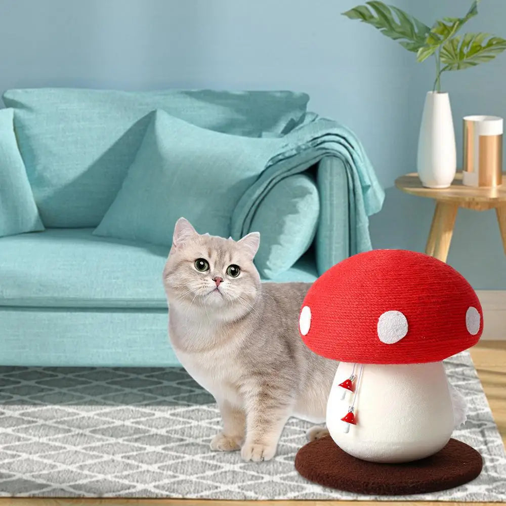 Cat Scratching Ball Toy