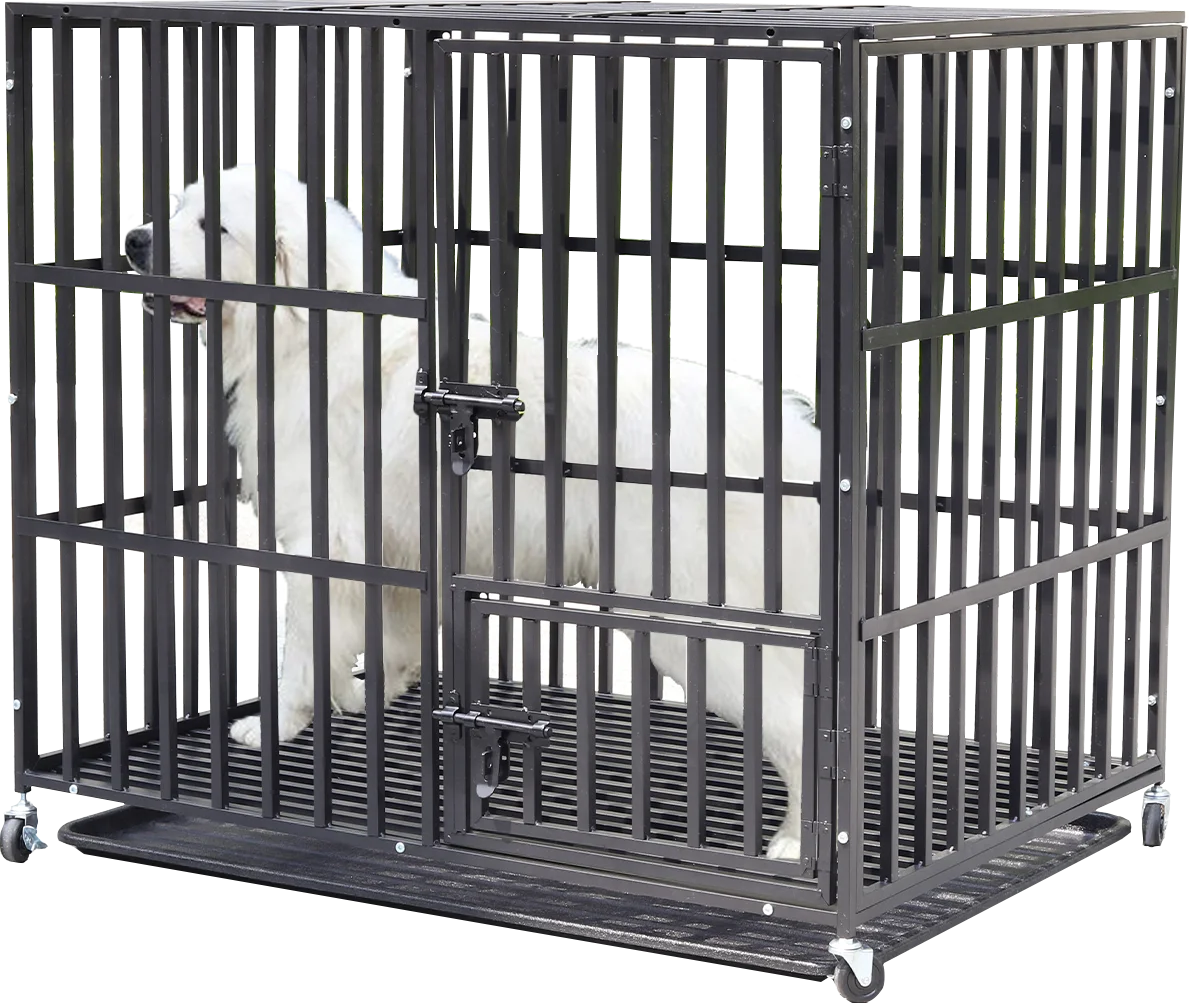Bingopaw 37” 42” 46” Heavy Duty Dog Cage