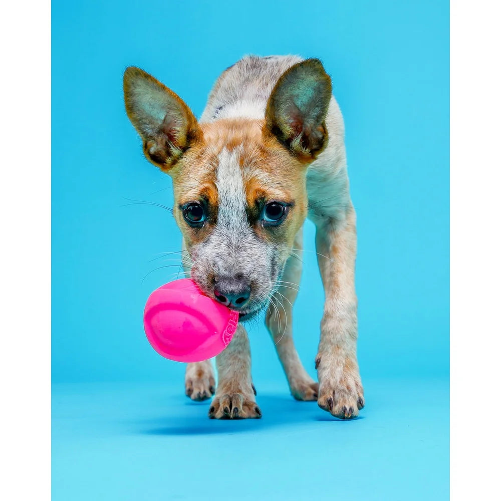 Durable Medium Dog Toy Set with Bacon Scent Squeaker Lightweight Foam Latex Indoor Outdoor Fetch Play