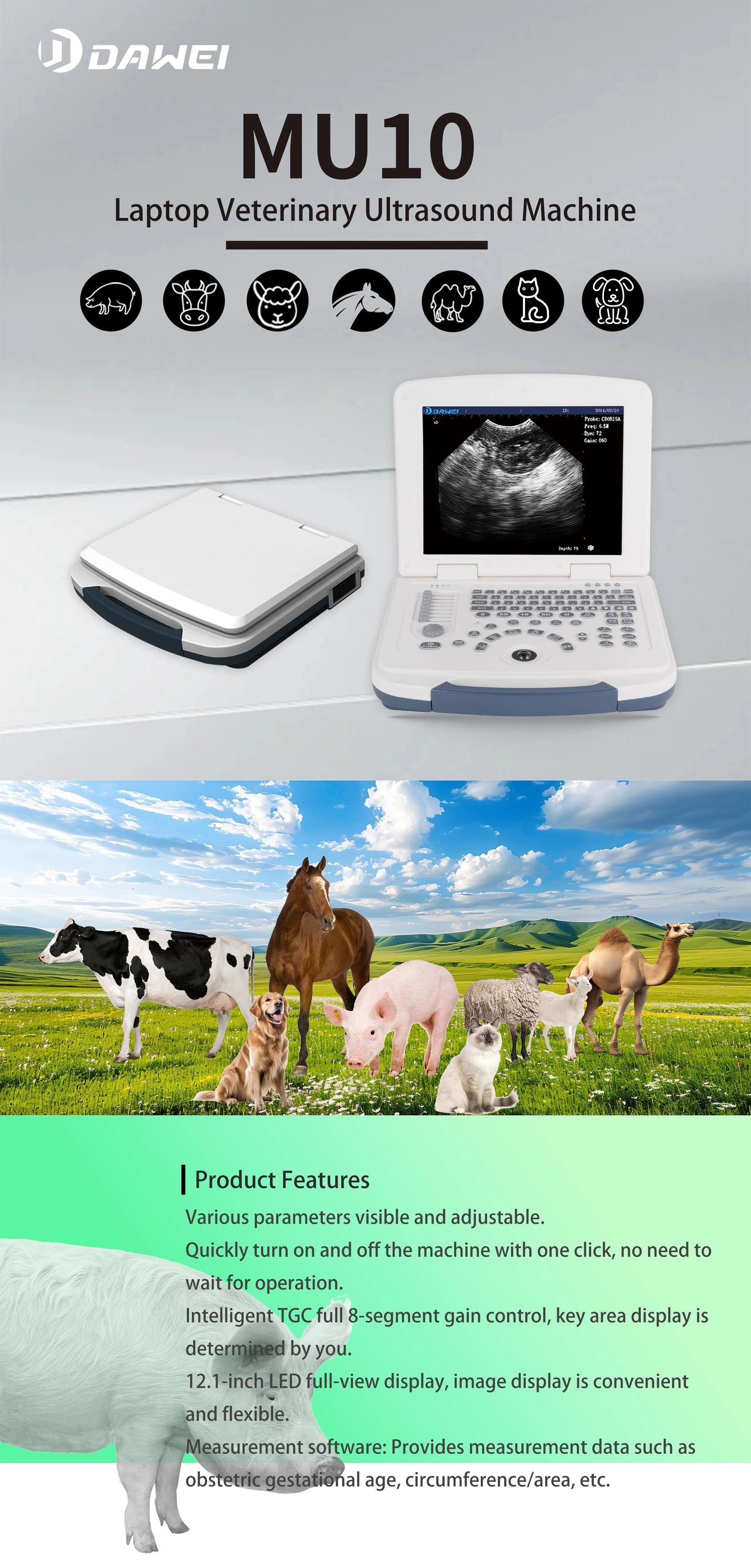 Portable Veterinary Ultrasound Scanner