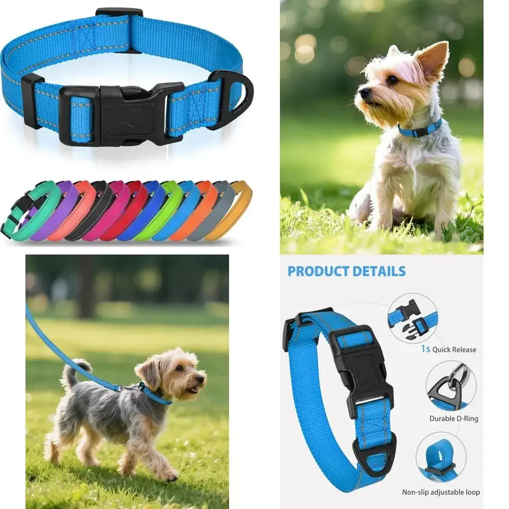 New Style Adjustable Reflective Nylon Dog Collar