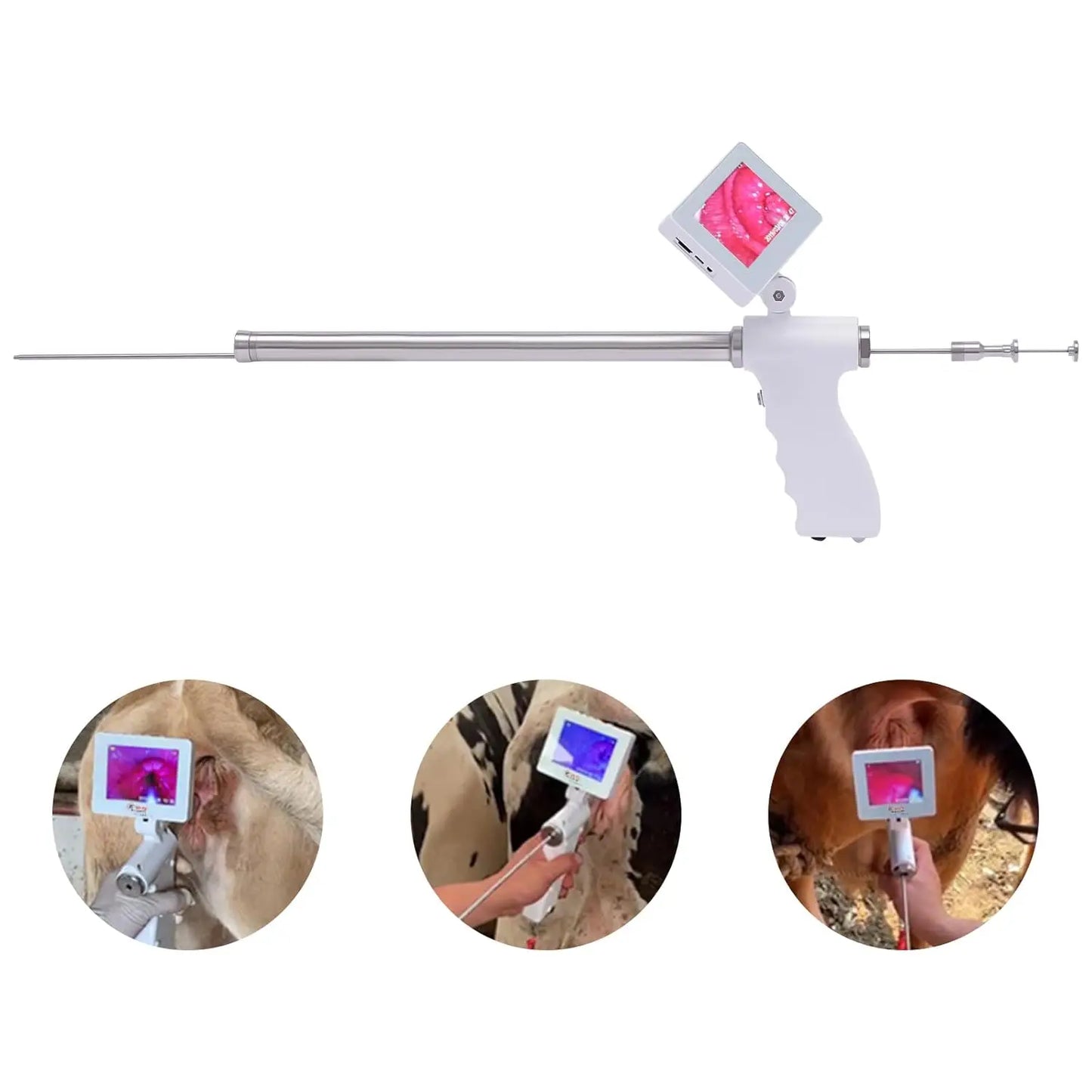 Visual Insemination Gun for Cows, Camels & Horses