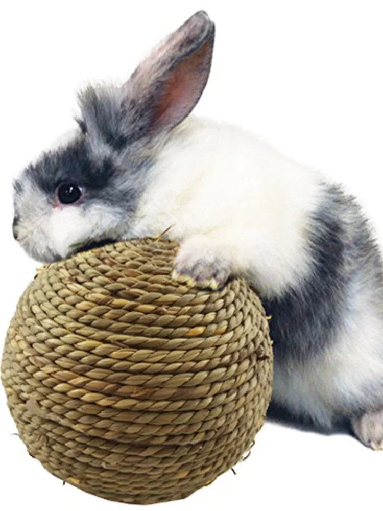 4PCS Pet Chew Toy
