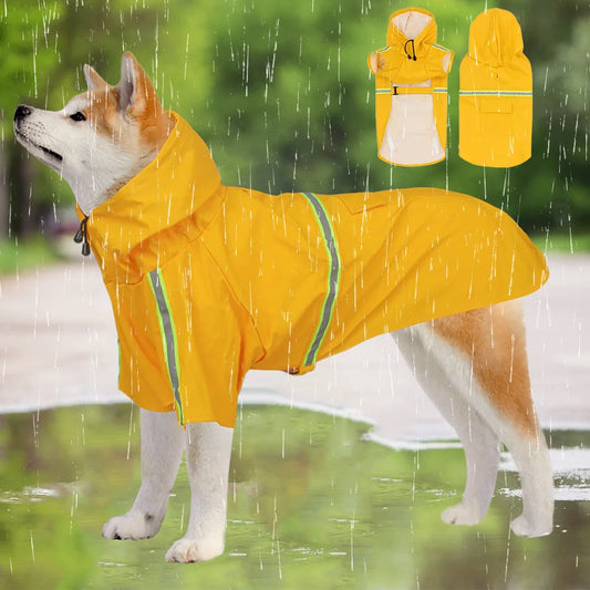 Big Dog raincoat