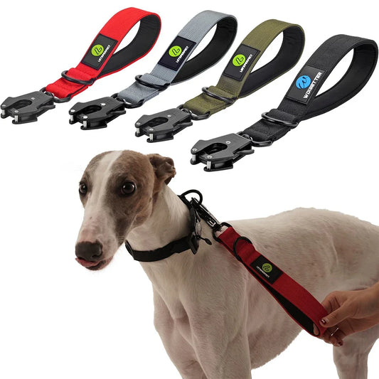 Short Dog Leash