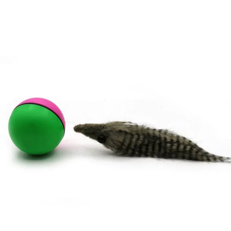 Rolling Play Random Alive New Pet Ferret Toy