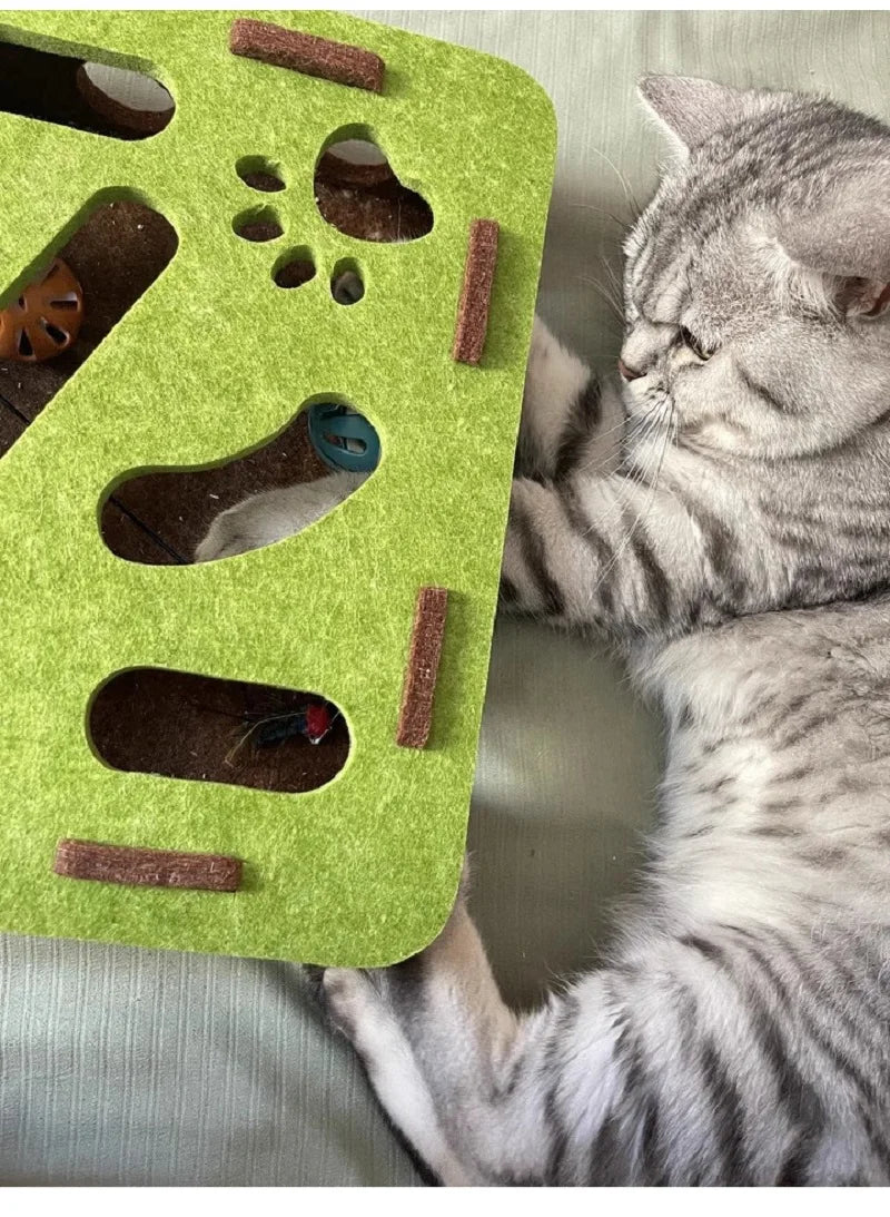 Pet Cat Puzzle Maze Holes Toys