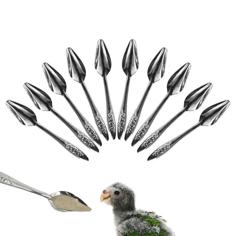 10pcs Portable baby bird feeding water spoon