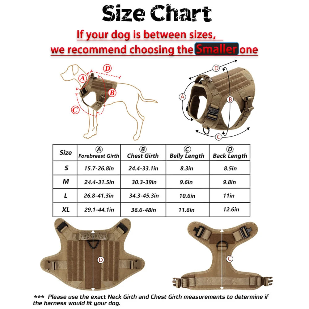 Large Dog Harness and Leash Set