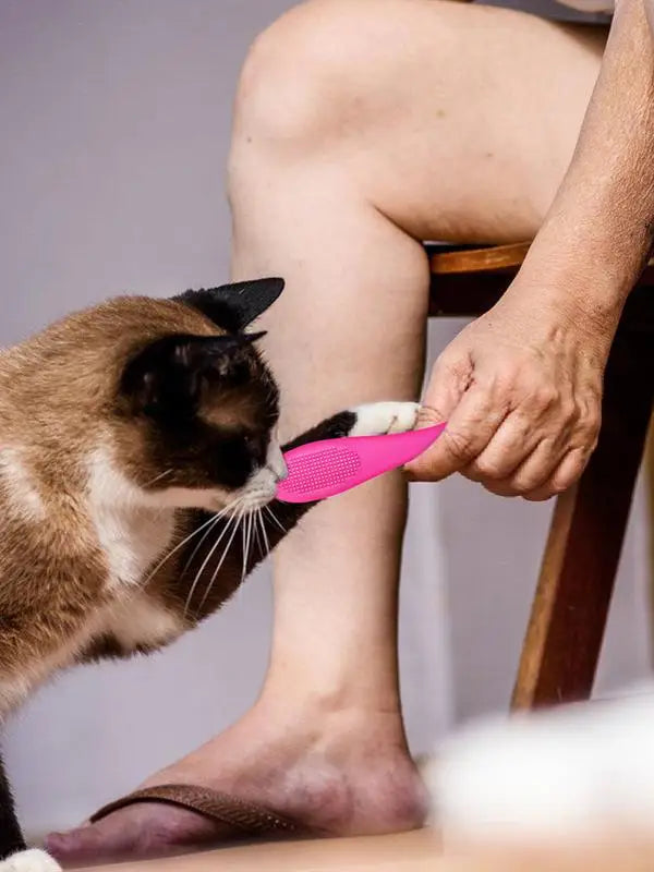Cat Chin Brush