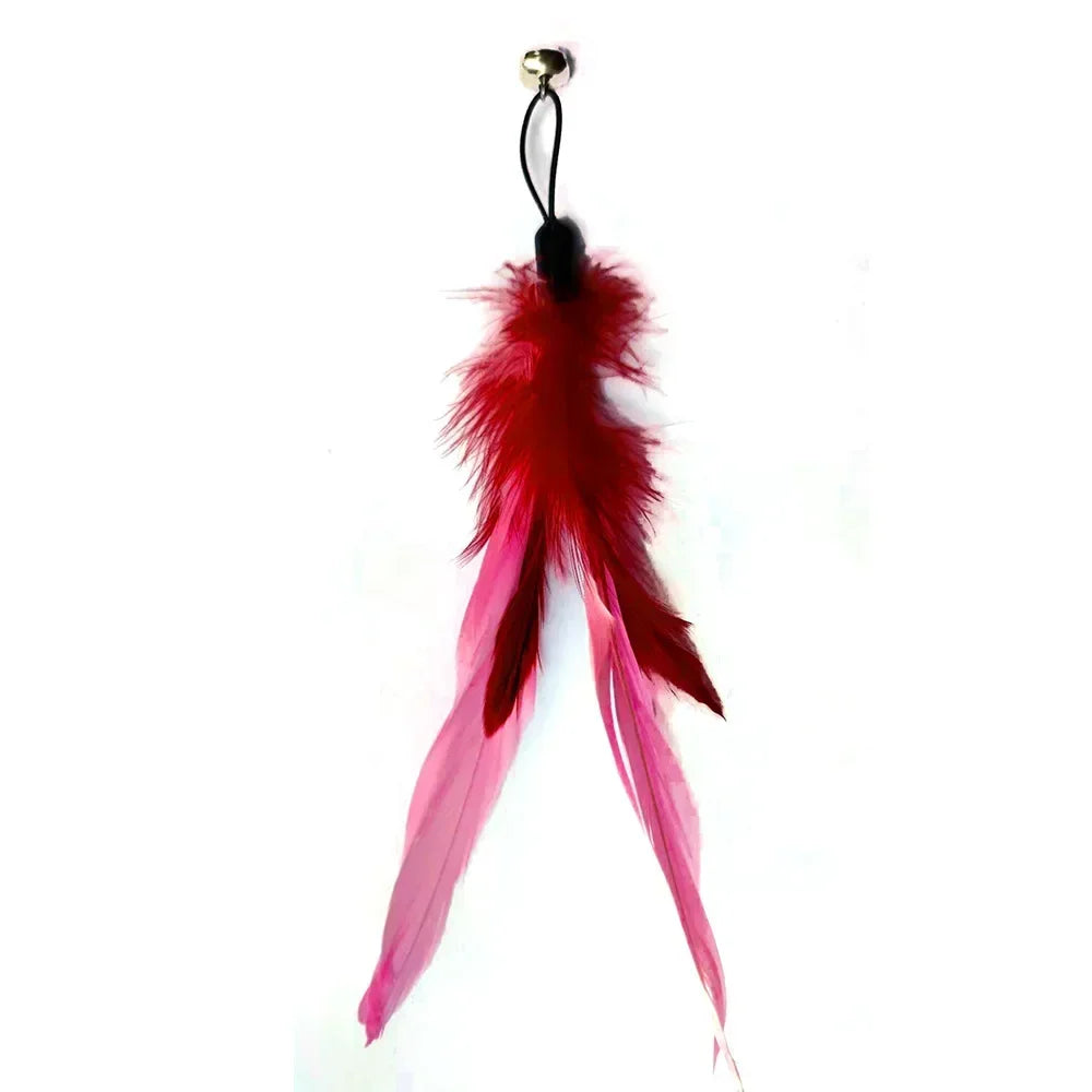 Pet Cat Toy with Bell Color Feather