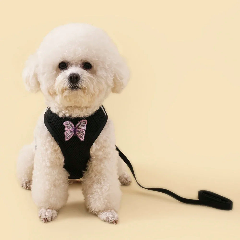 Butterfly Cute Breathable Dog Harness Set