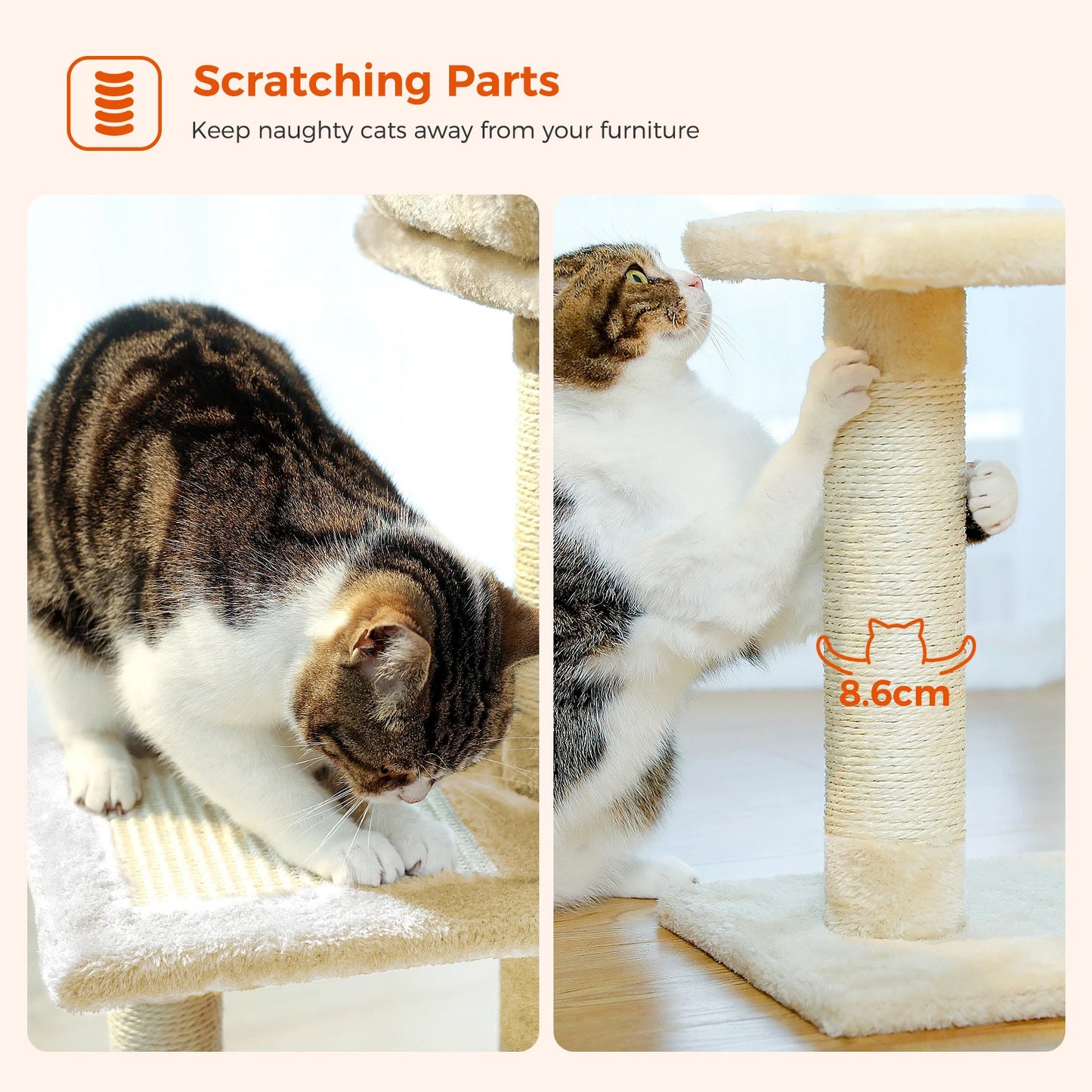 2 in 1 Cat Tree for Large Cat and Small Cat