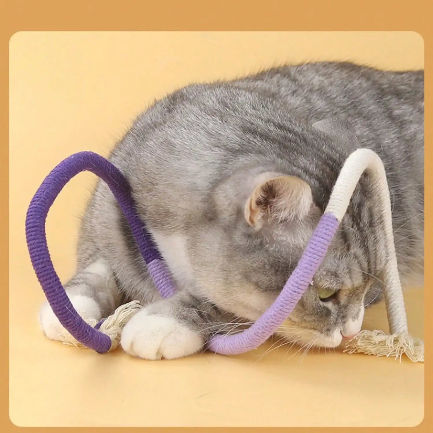 Cotton Rope Toys