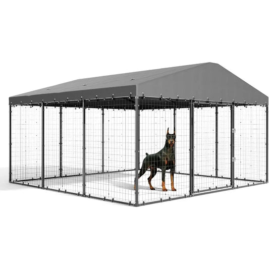 Large Outdoor Kennel with Fully Covered Roof
