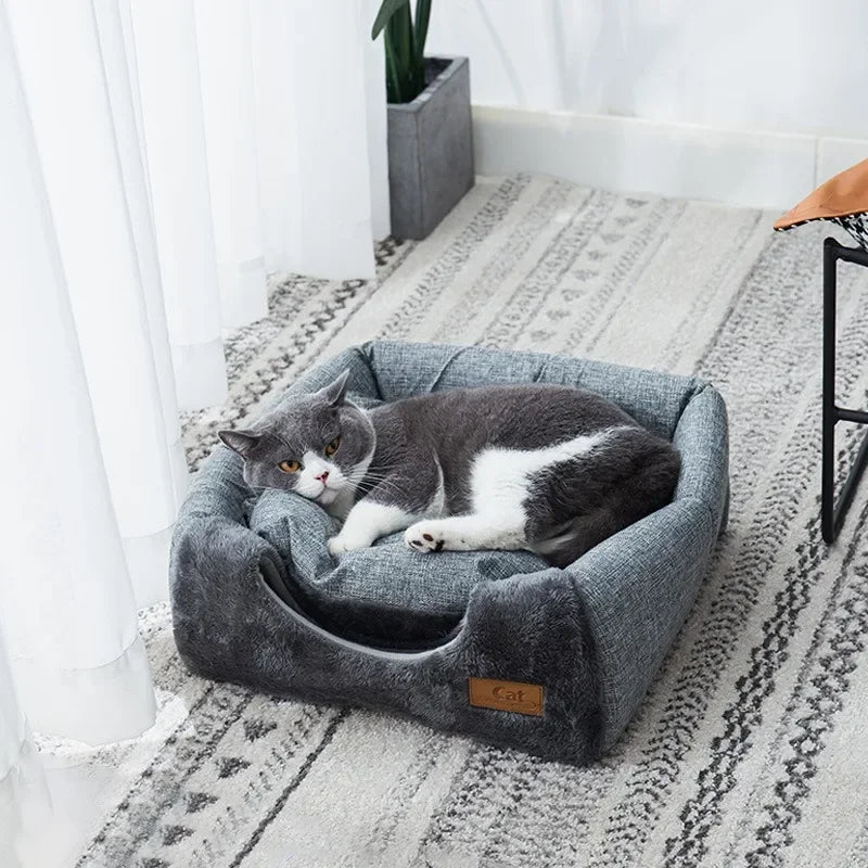 New Triangle Cat