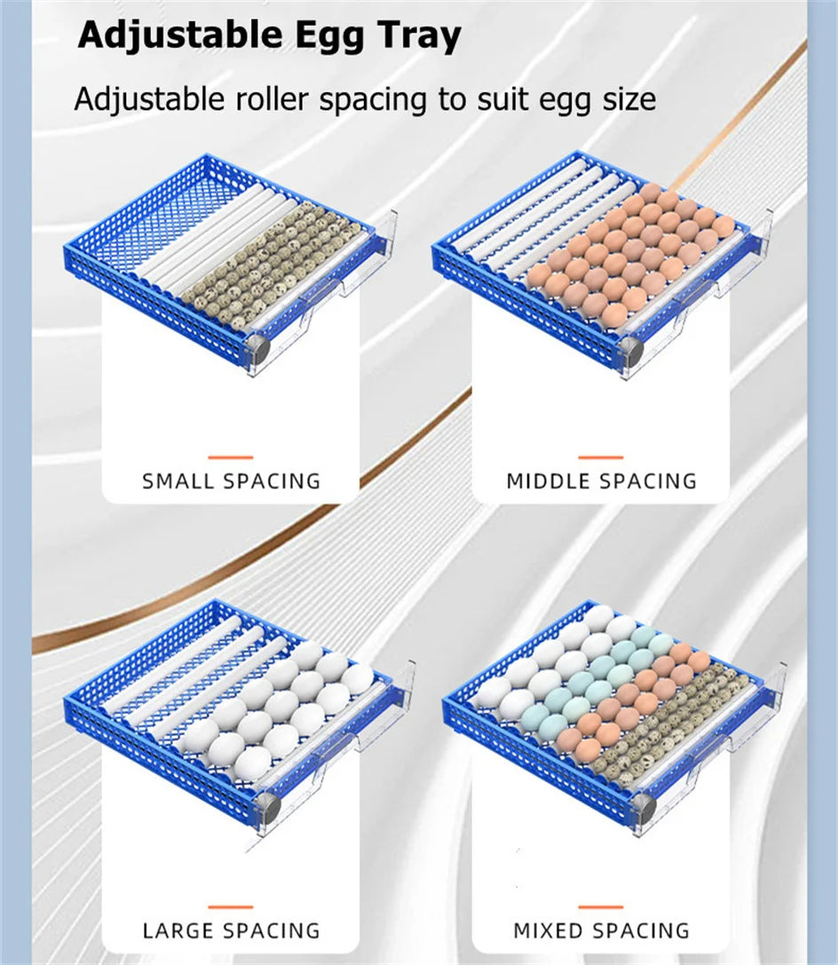 128 Egg Incubator