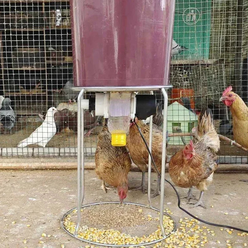 Automatic Chicken Feeder