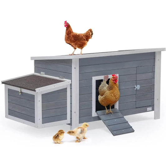 Large Chicken Coop with Upgraded Perches