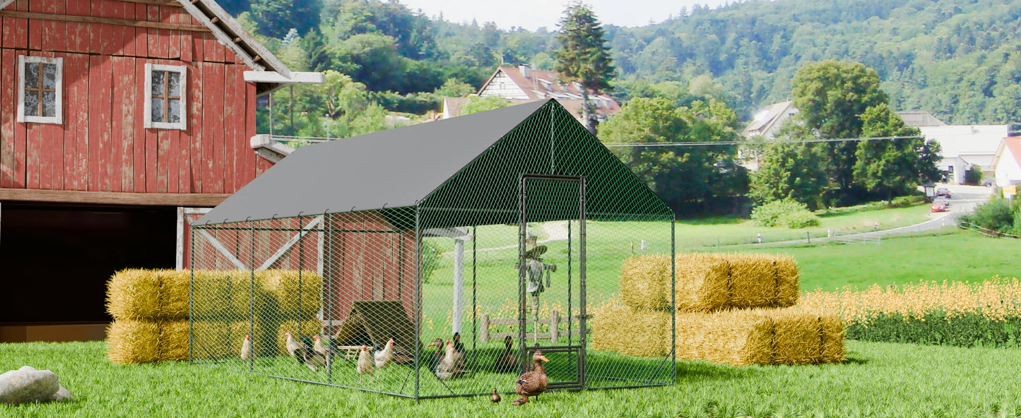 Heavy Duty Upgrade Outdoor Chicken Coop