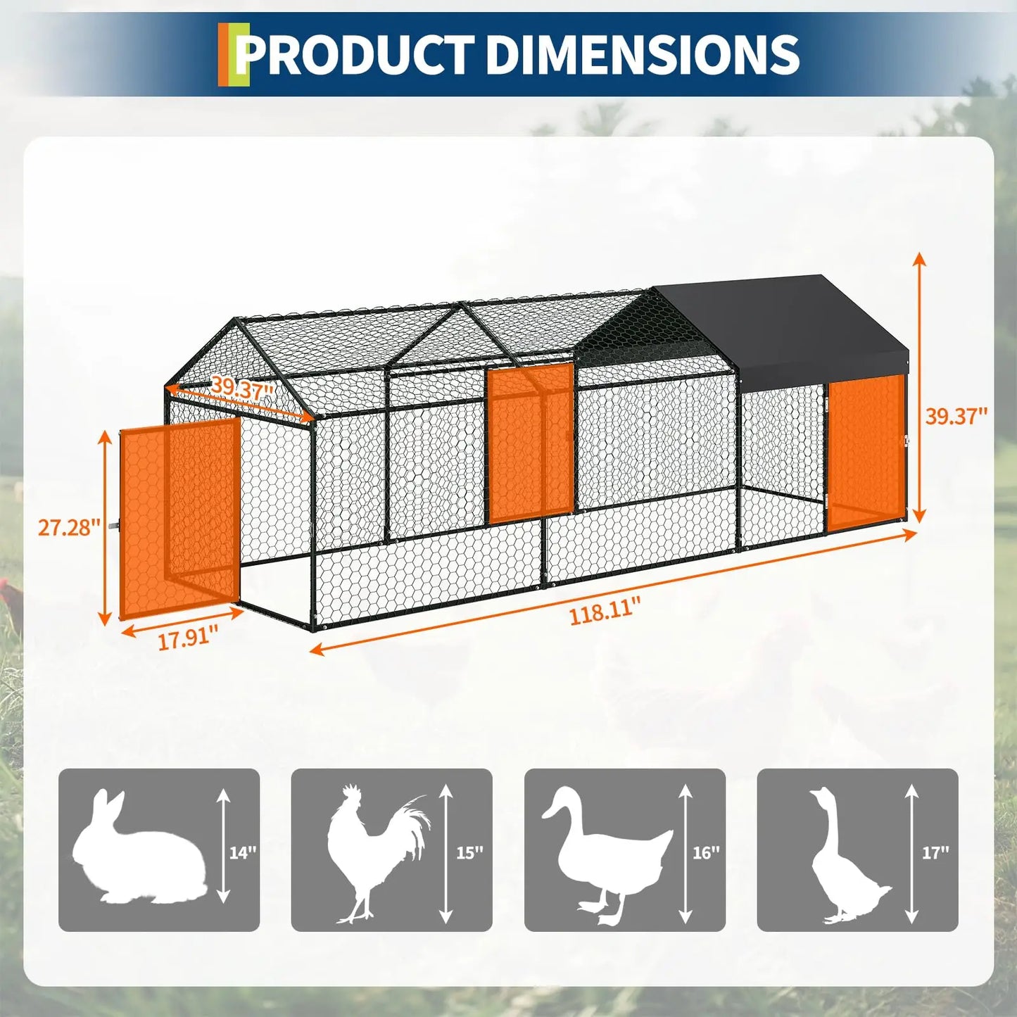 Metal Chicken Coop