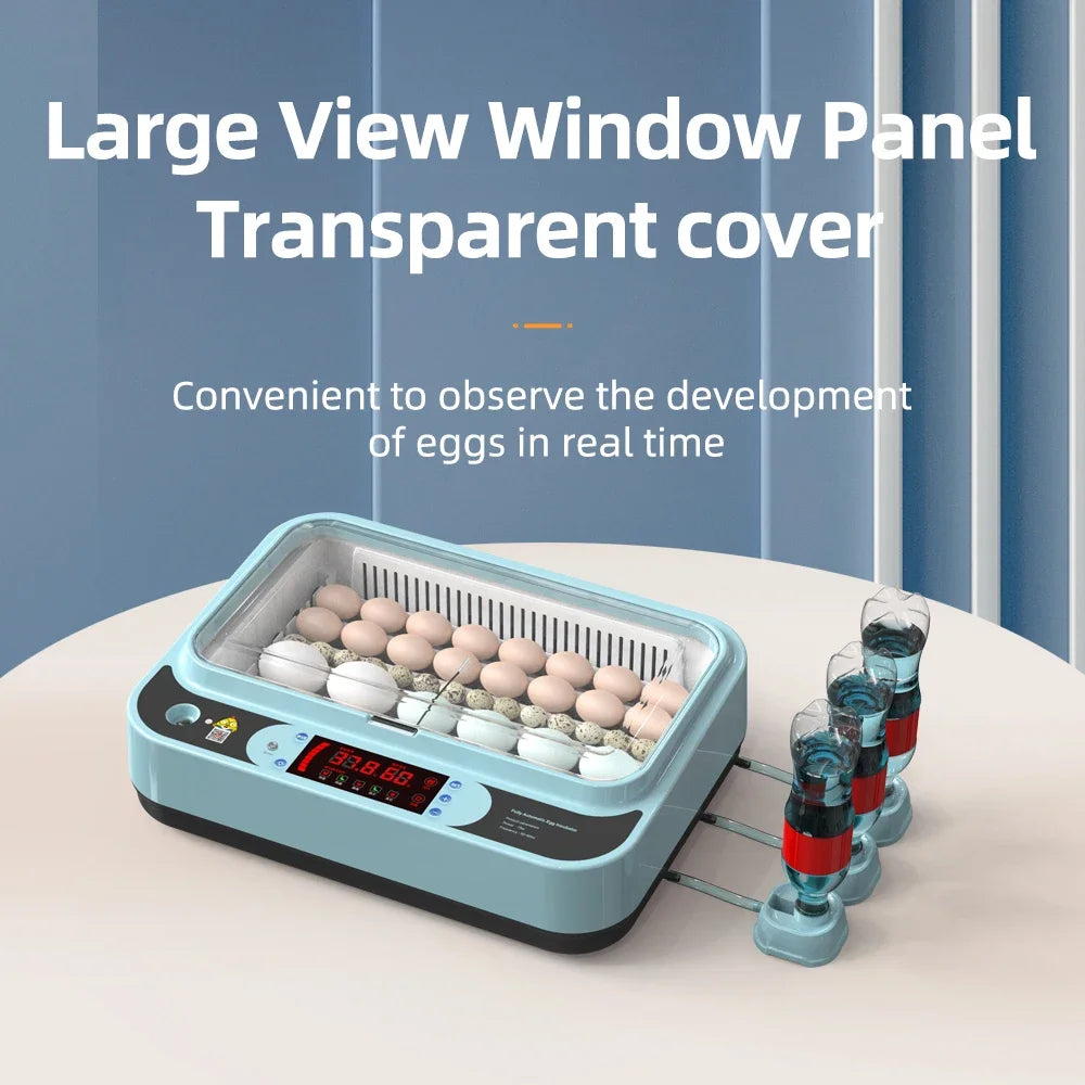 64/6 Chicken Duck Quail Egg Incubator