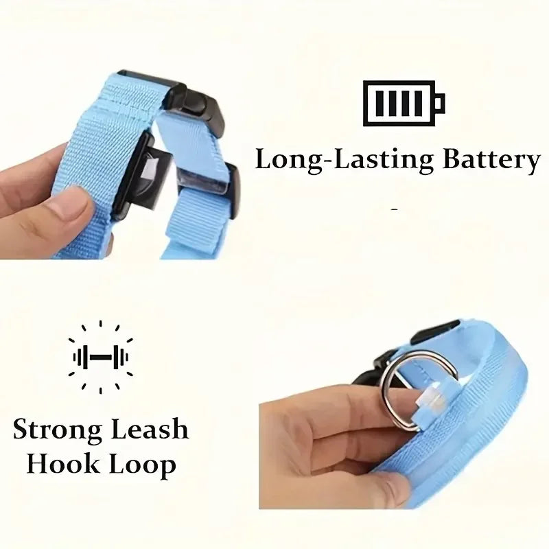 Light Up LED Pet Dog Collar