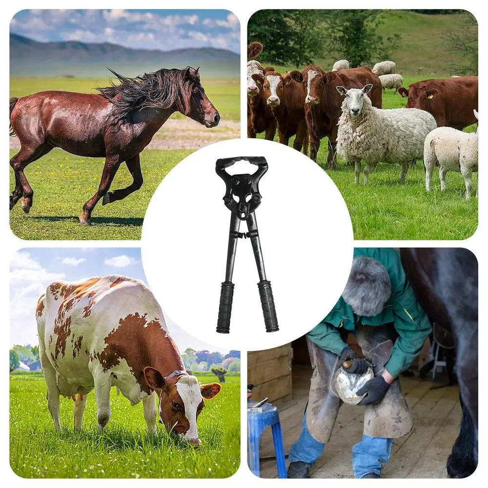 Goat Hoof Trimmers