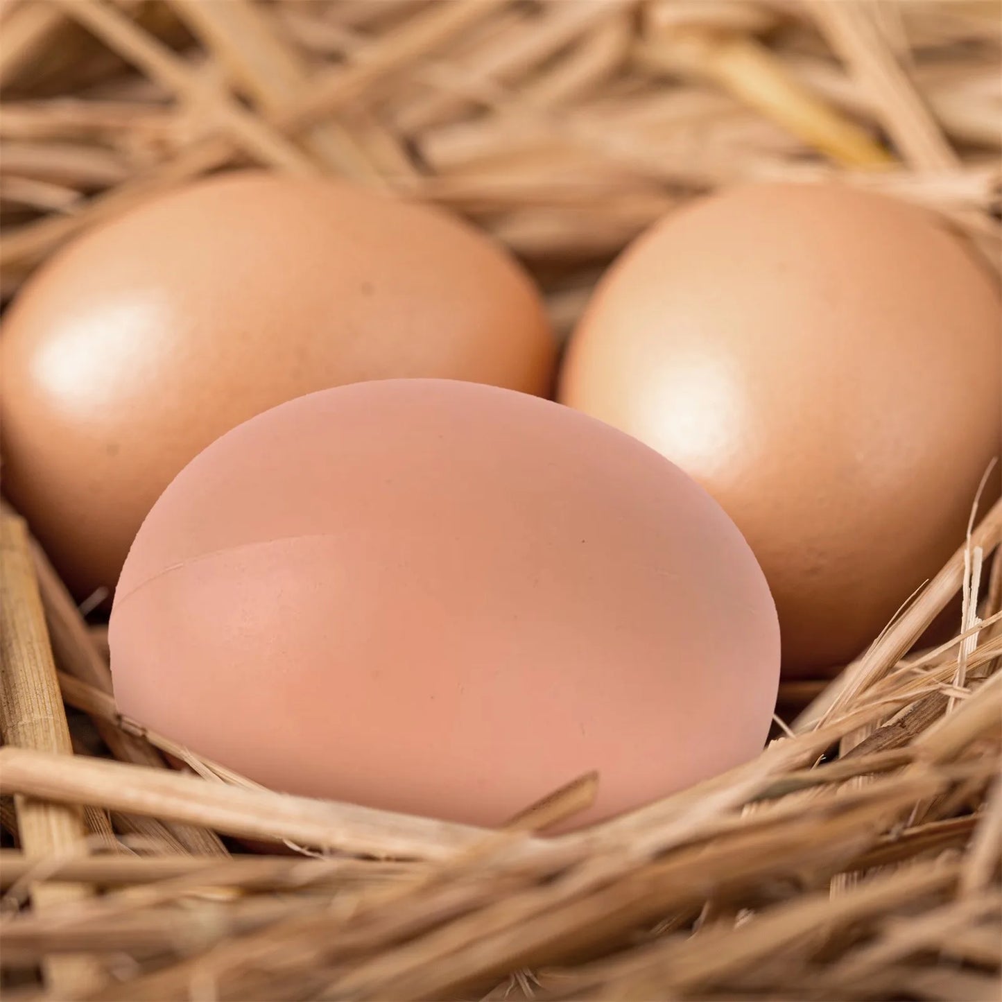 6/12pcs Hatching Egg Easter