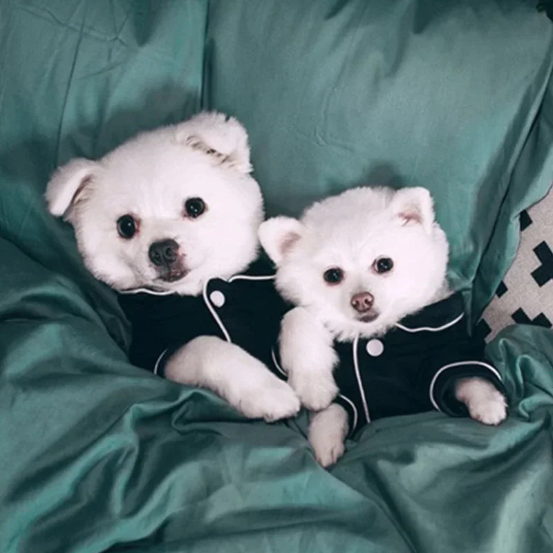 Dog Pajamas