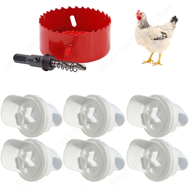 Poultry Automatic Gravity Feeder