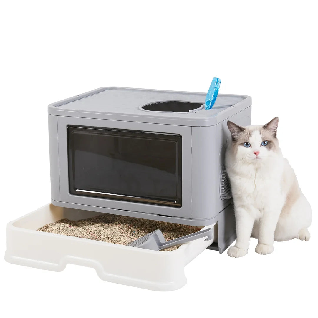Modern Cat Litter Box