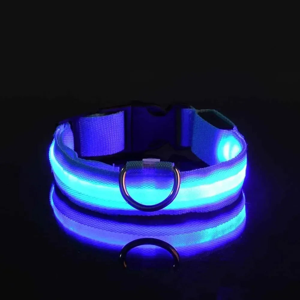 Light Up LED Pet Dog Collar