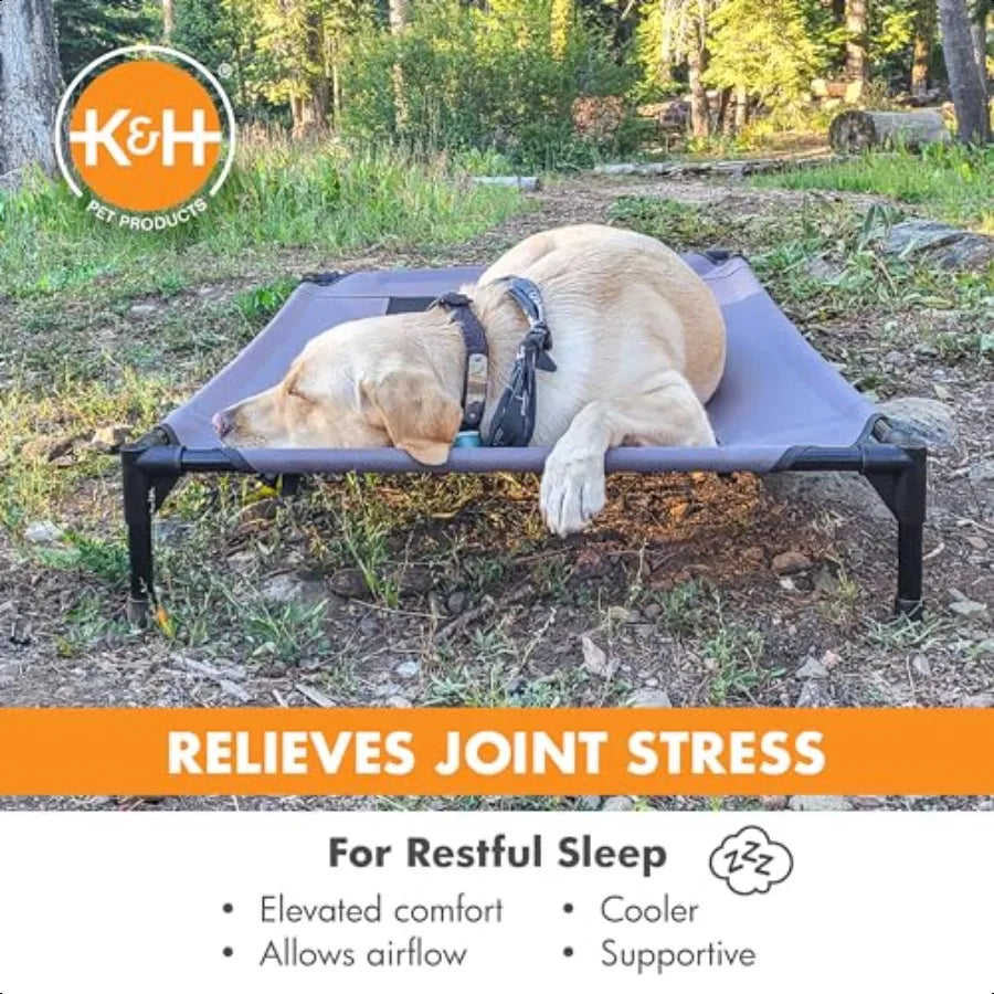 Outdoor Elevated Dog Cot