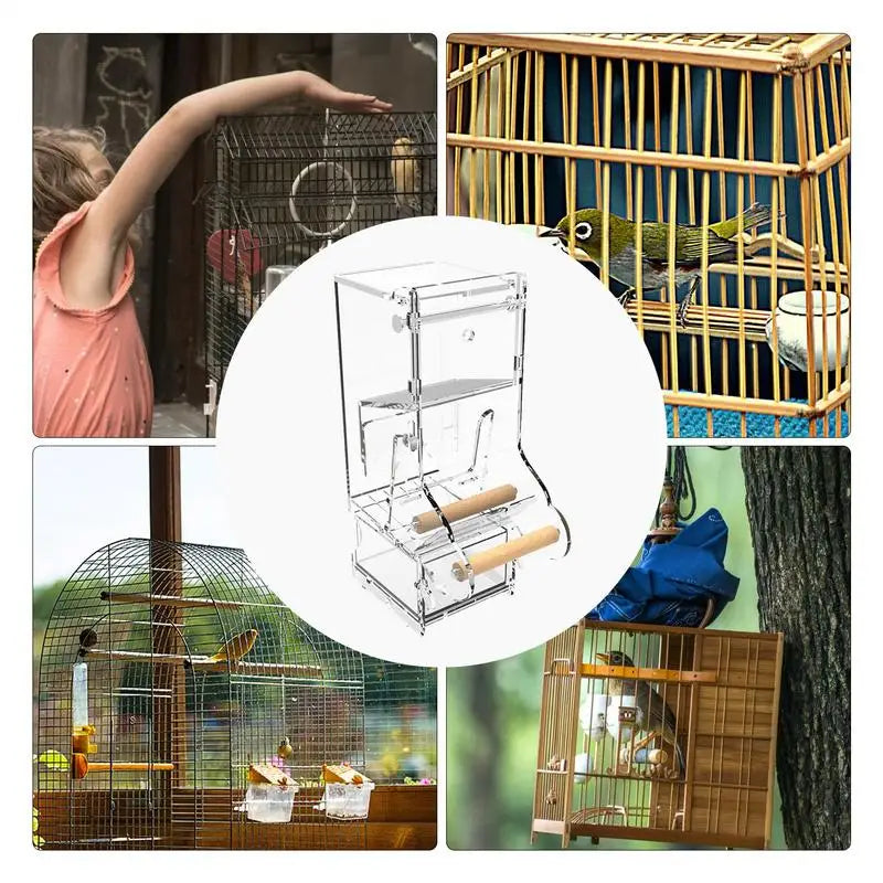 Parrot automatic feede