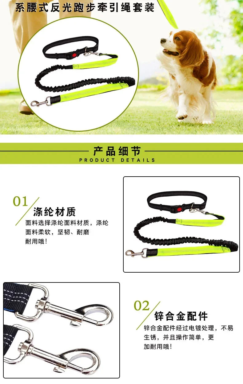 Hand Free Dog Leash for Pet Walking Running Jogging