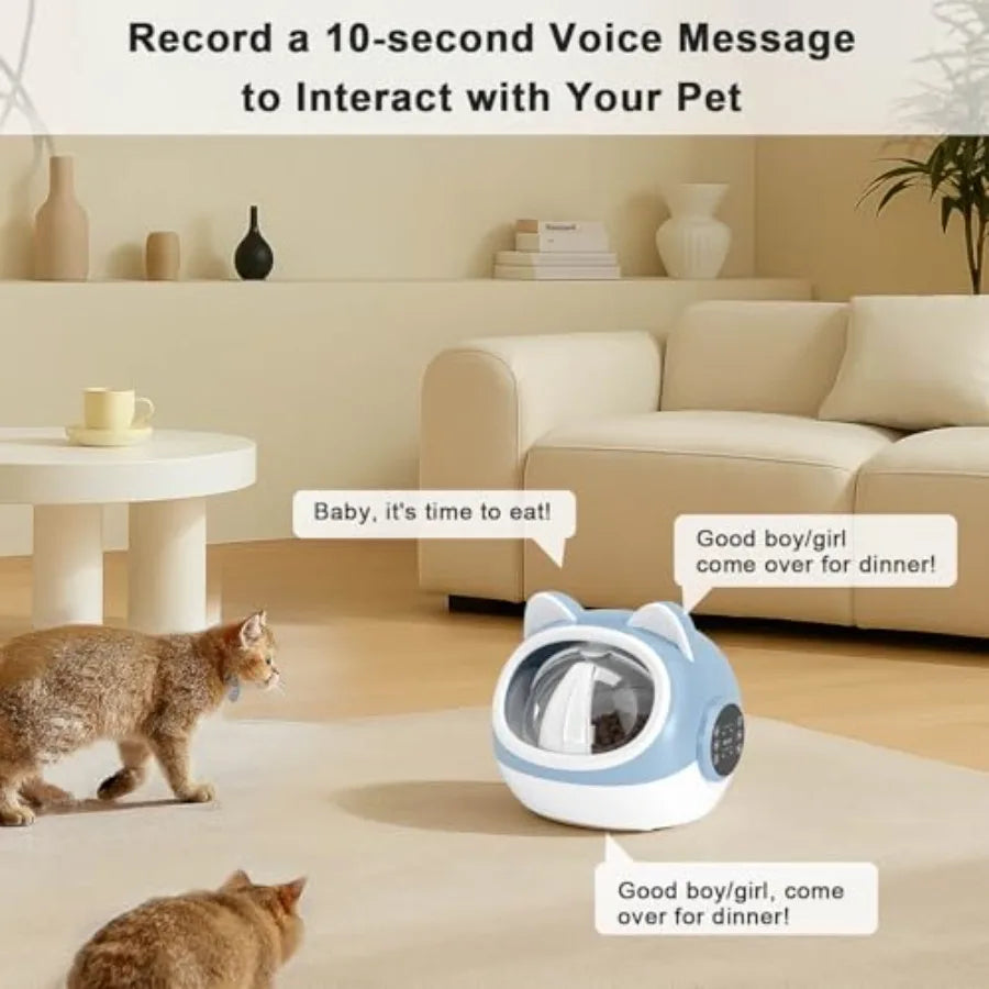 Smart Pet Feeder with Dual Collar Tags