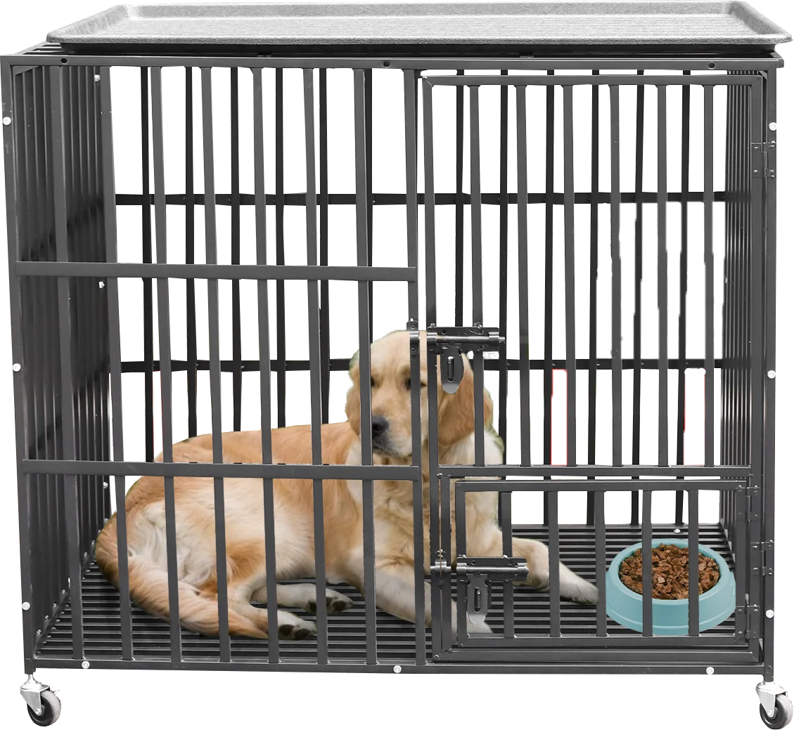 Bingopaw 37” 42” 46” Heavy Duty Dog Cage