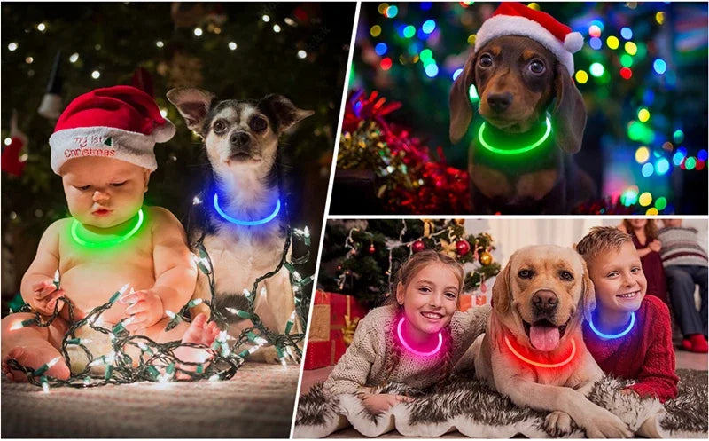 USB Charging Necklace Led Luminous Dog Collar Light