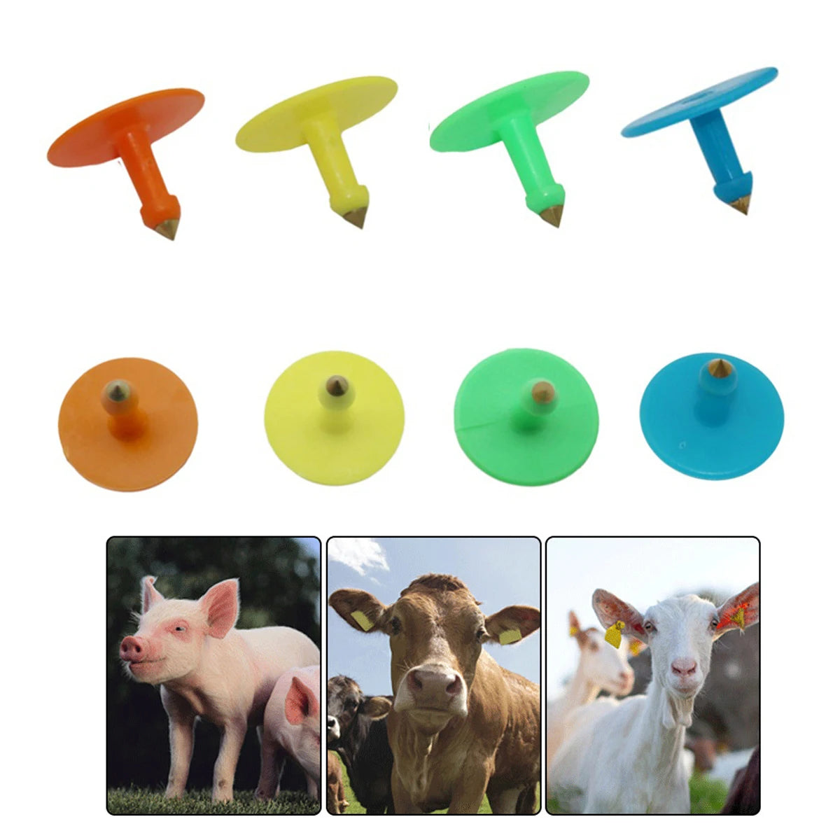 50Pcs Anti-Shedding Sheep Pig Cattle Ear Tag