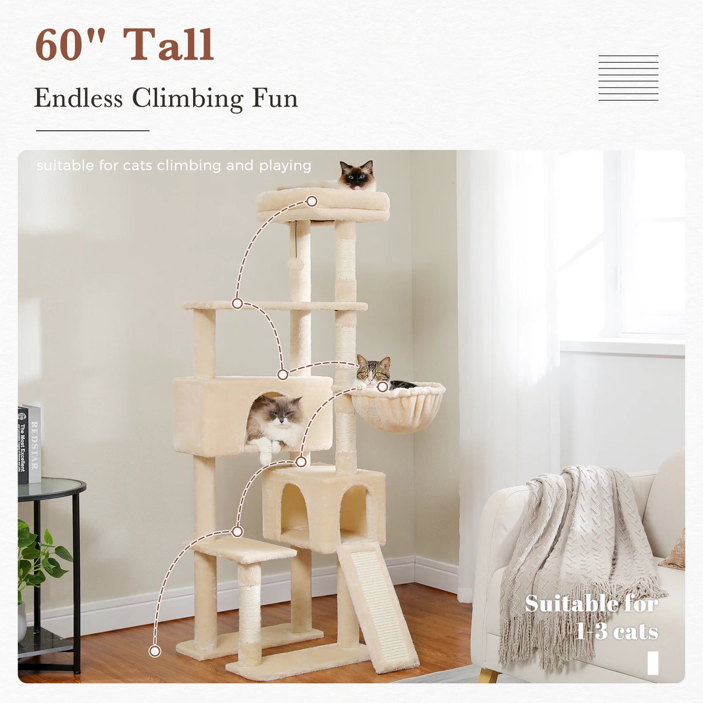 Multi-Level Cat Tree for Large Cats