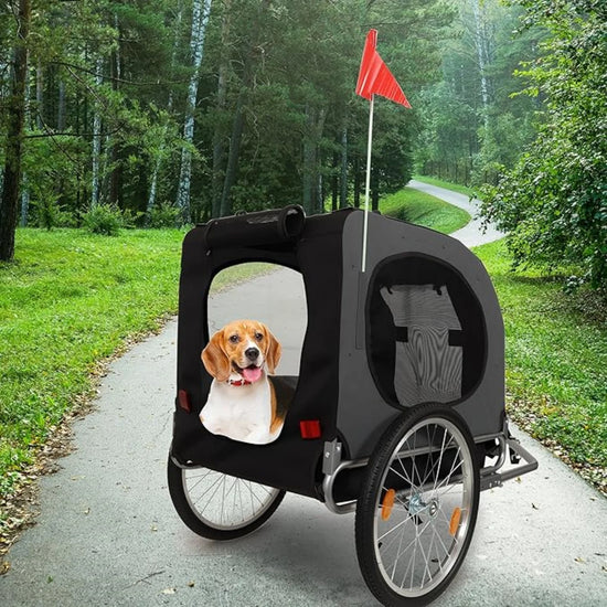 Universal Bike Trailer for Medium & Large Dogs